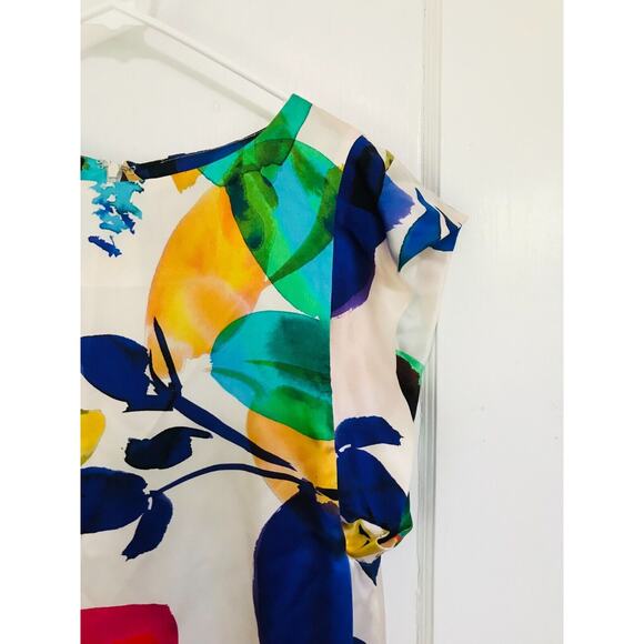 Carlisle Women's Size 6 Silk Dress Colorful Floral Print Lined Zip Cap Sleeve - Picture 3 of 16